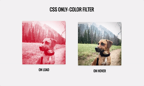 Preview of CSS only color filter